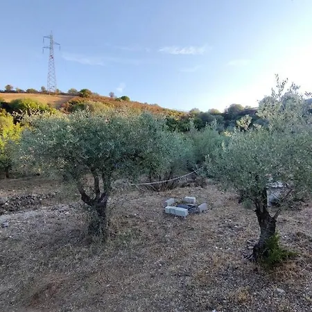 Ulivella * Schifoni