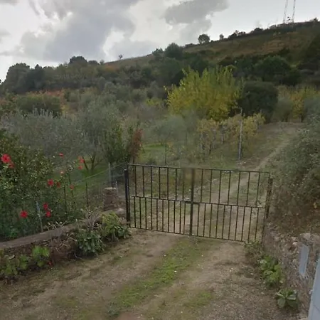 Ulivella Schifoni