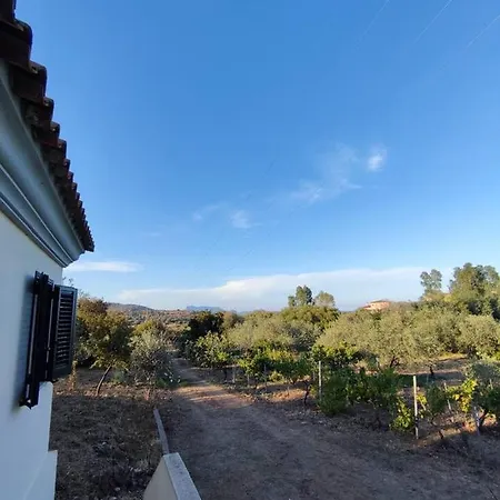 Ferienhaus Ulivella *