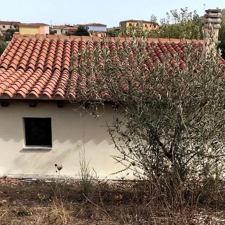 Ulivella